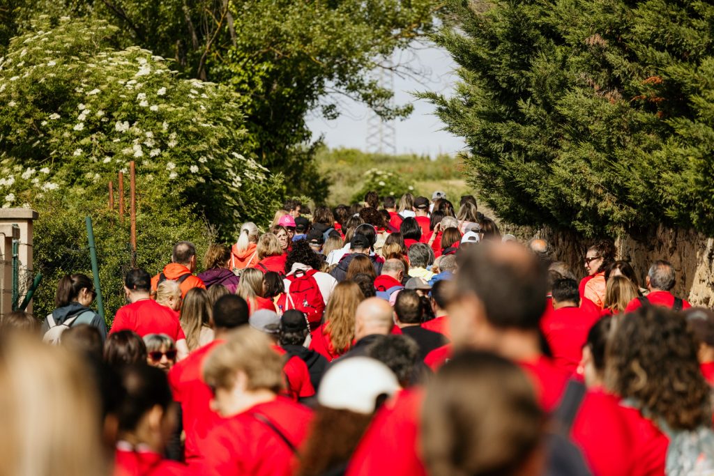 III Carrera Benéfica Faro 2026 – Viña POMAL (322) – low