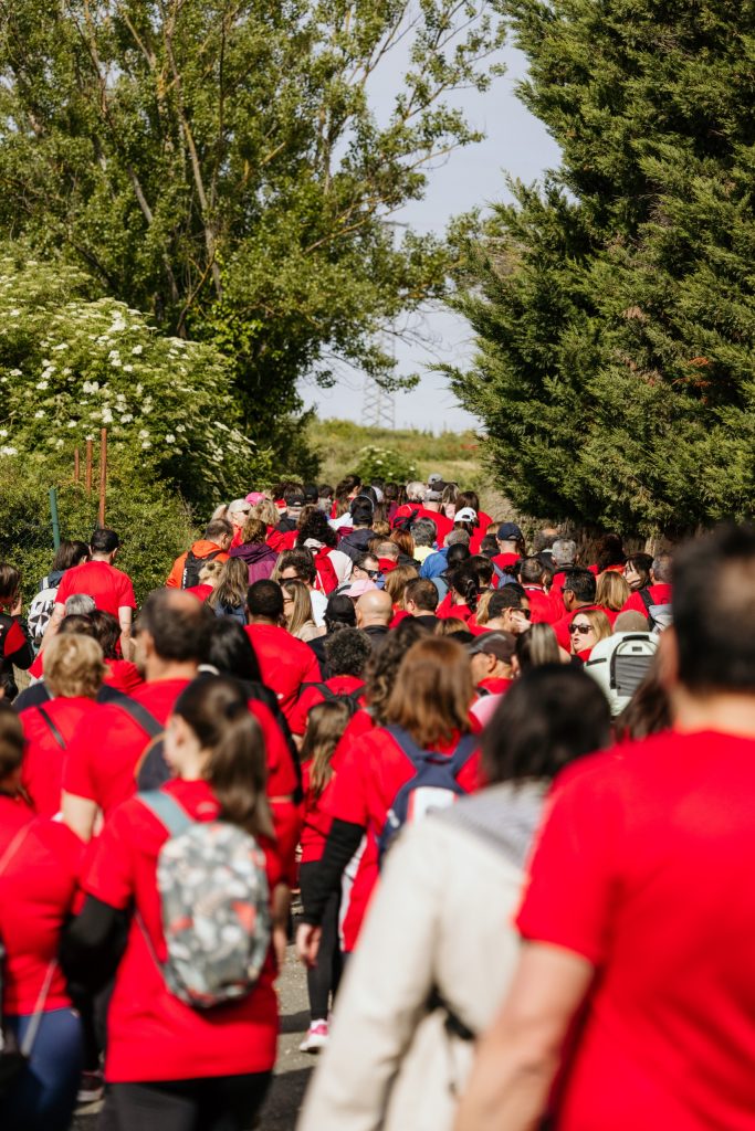 III Carrera Benéfica Faro 2026 – Viña POMAL (324) – low