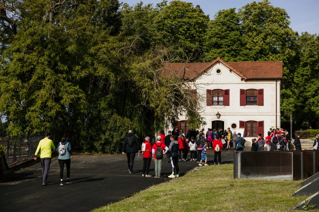 III Carrera Benéfica Faro 2026 – Viña POMAL (97) – low
